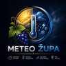 Zupljanin 🍇's profile picture