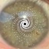 ⚛︎ ℜ𝔞𝔠𝔥𝔢𝔩 ⚛︎'s profile picture