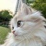 majida's profile picture