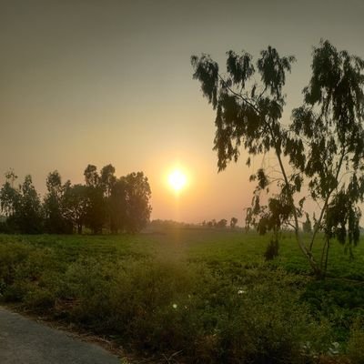 LalitaRawat_07's profile picture
