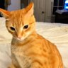 Lola profil fotoğrafı