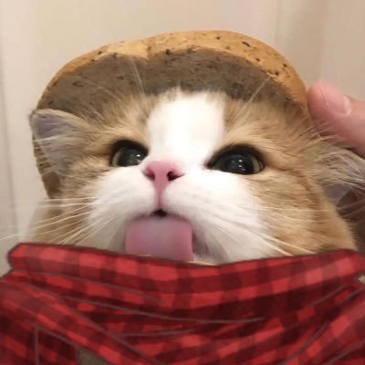 bald's profile picture