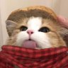 Profilbild von bald