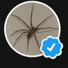 Profilbild von FreeMefo
