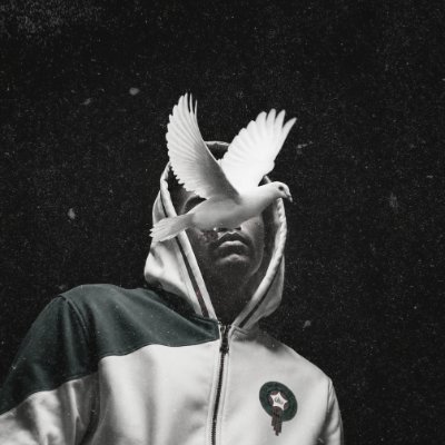 OFLAYNNET's profile picture