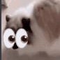 imhexal_'s profile picture