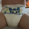 Фото профиля Diaper Boy Koda