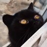 Profilbild von Thomas