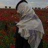 Profilbild von ابن رماح