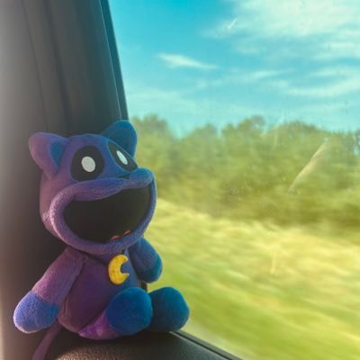 NappyPoppyFan's profile picture