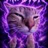 Profilbild von arih