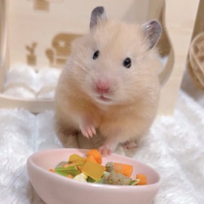 isamgxatuxpgh's profile picture