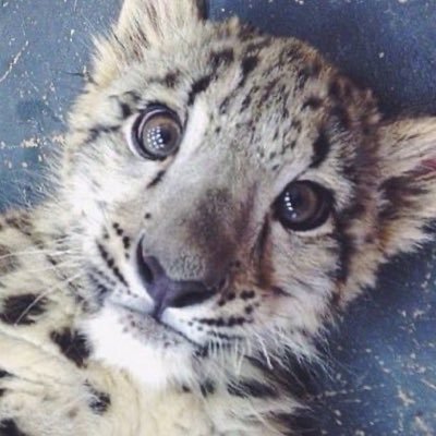 #rikvi ❤︎'s profile picture