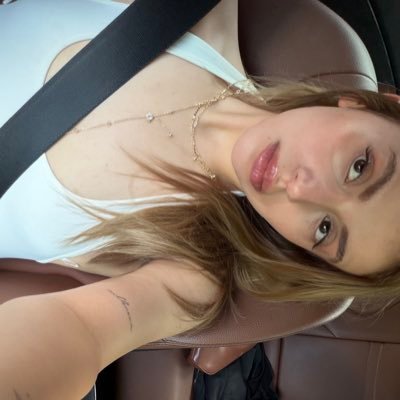 susulovic's profile picture