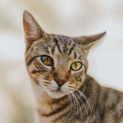 caty_xyz's profile picture