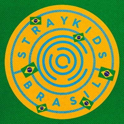 Stray Kids Brasil's profile picture