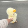 Ayemidotun profil fotoğrafı