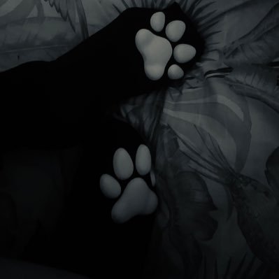 woundedpuppii's profile picture