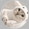 まるちゃん's profile picture