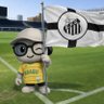 🆂🅴🆁 🆅🅸🆅🅾 ⚪️⚫️🇧🇷's profile picture