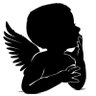 Daniel Nicholous's profile picture