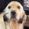 Me Mame profil fotoğrafı