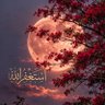 حمد عبدالله ١٩٧١م profil fotoğrafı