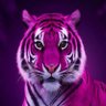 Фото профиля Renee_Albatroz