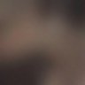 . profil fotoğrafı
