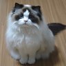 SecJack profil fotoğrafı