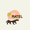 Фото профиля THE RATEL