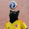 CuléNegro profil fotoğrafı