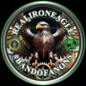 Realironeagle 的头像