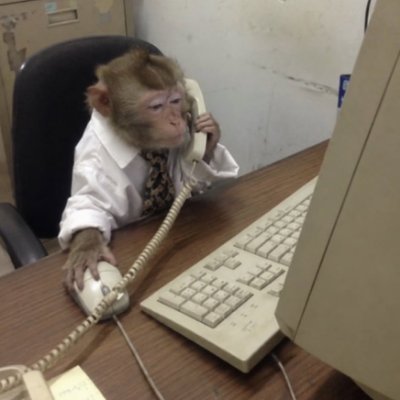 JerryXOC's profile picture