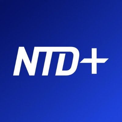 NTDPlus_'s profile picture