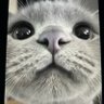 Josée's profile picture