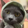 samlevis11 profil fotoğrafı
