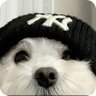 Фото профиля Koji