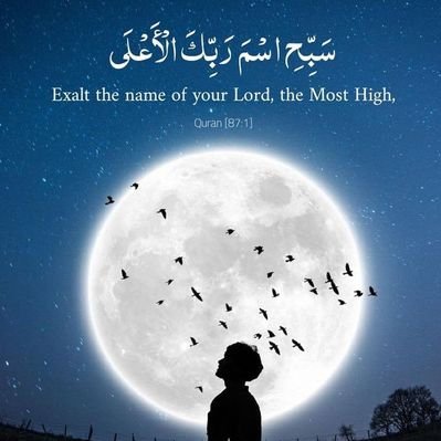 YawerHameed0's profile picture