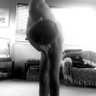 Baz Naked Returns's profile picture
