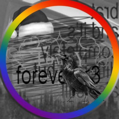 tommy's profile picture