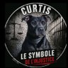 Sb B.'s profile picture