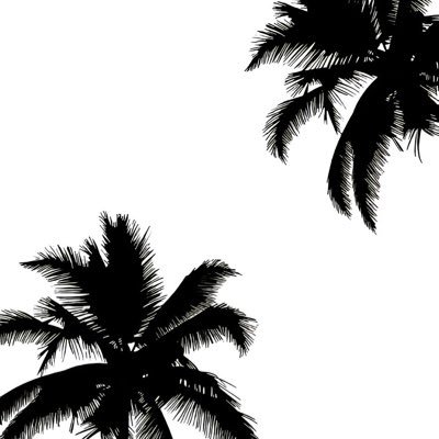 Tsui528528's profile picture