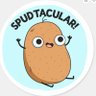 potato's profile picture