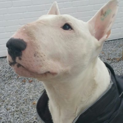 KUNNUS's profile picture