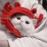 xo, ann ⋆.𐙚 ̊ profil fotoğrafı