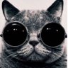 pystar profil fotoğrafı