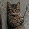maksain profil fotoğrafı
