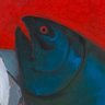 xochi 🐟|🧡🤍🩷 的头像