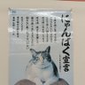 カンナ3歳とその下僕の日記's profile picture